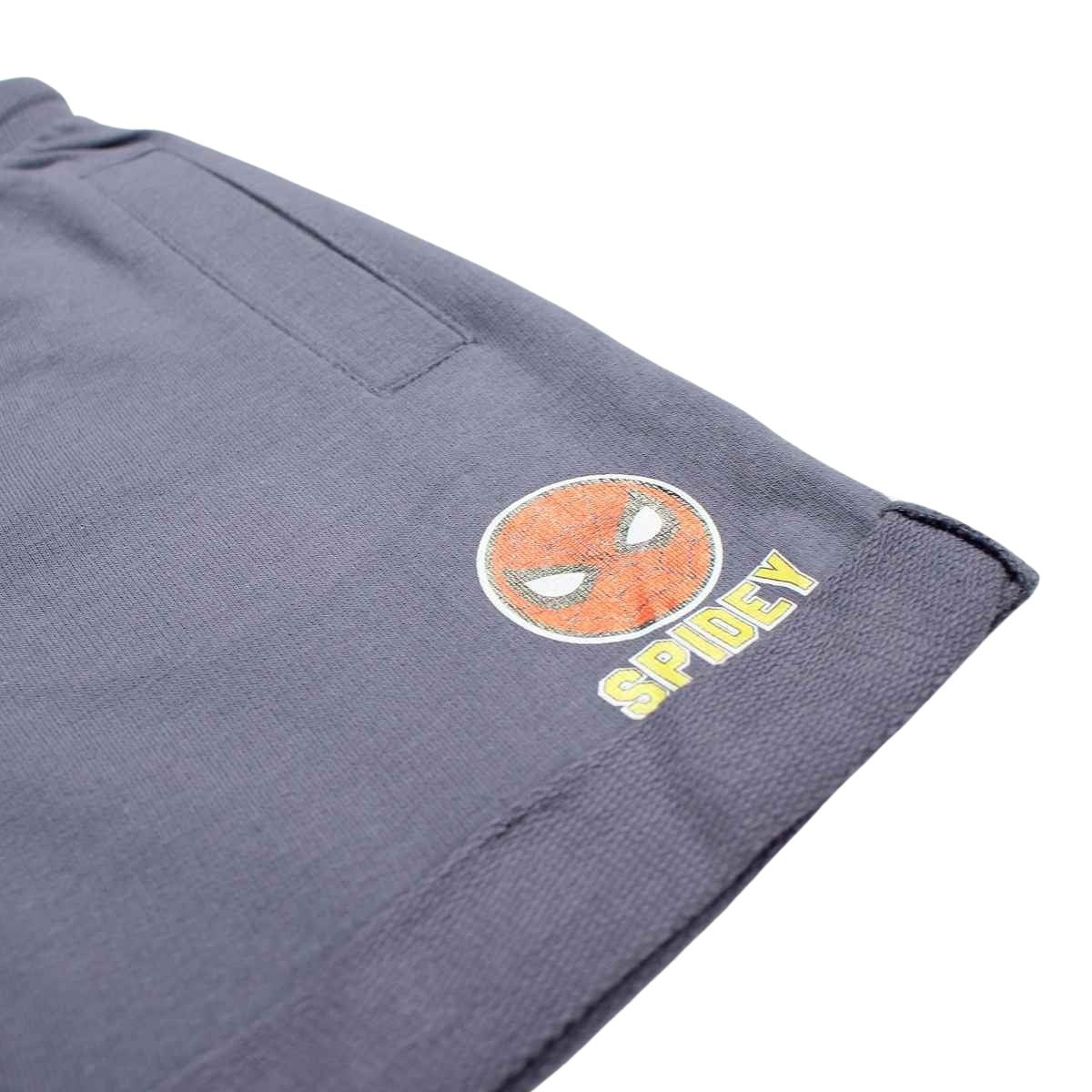 Ensemble Spiderman - 3A Garçon - Enfant - Gris - Short: 100 % Coton - T-Shirt gris: 93 % Coton - 7 % Polyester - TrendyFlair