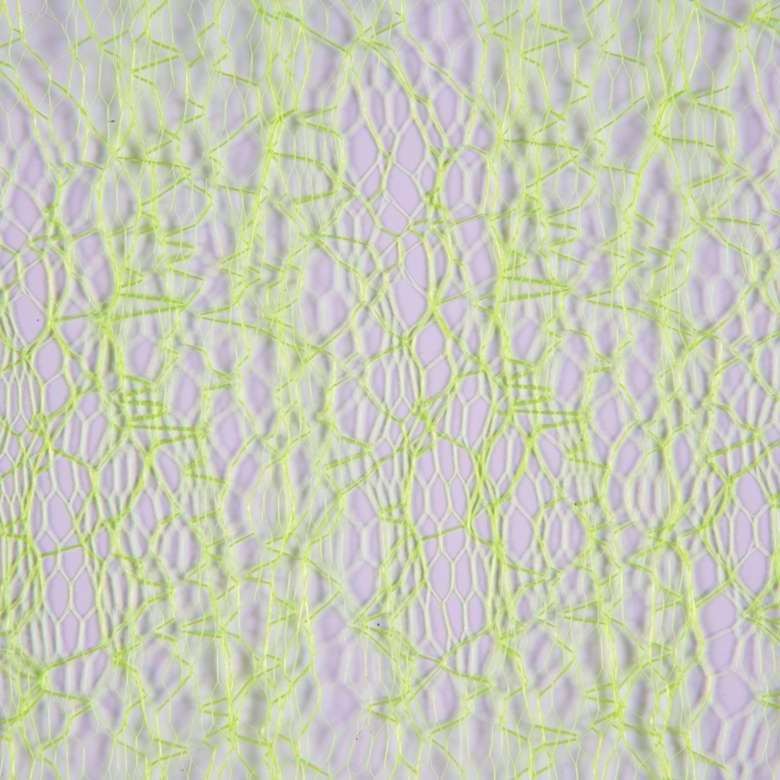 c6969384962571ada8e07055663c2314