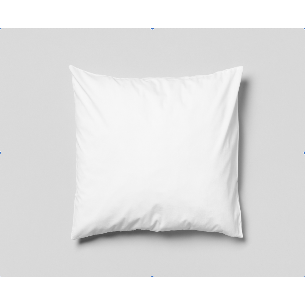 Lot de 2 Oreillers carrés 60x60cm moelleux 100% Polyester Fibres Creuses Coussin |homeflair