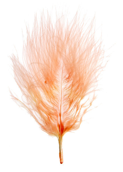 ff0057d4d7c2349868d0f95d845582a8