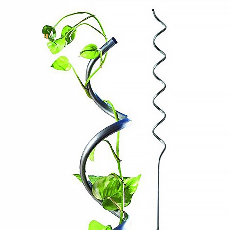 Tuteur spirale pour tomates - En acier - Hauteur : 200 cm | Support pour plantes grimpantes et tomates | Vert | TRENDYFLAIR