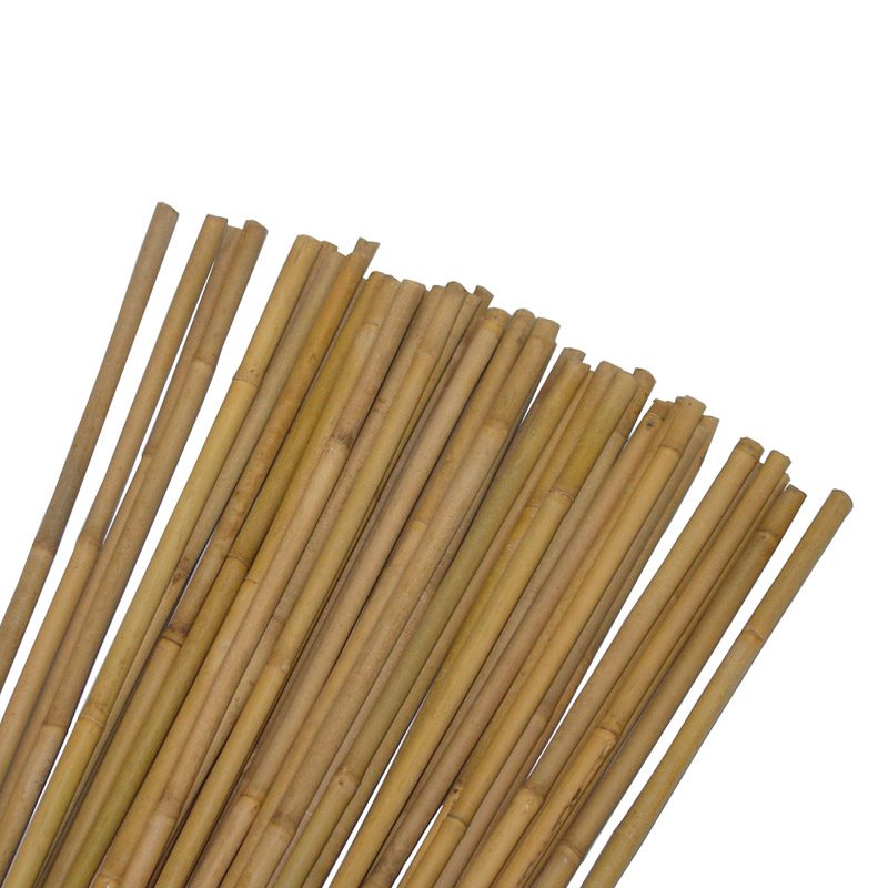 Tuteur pour plantes et légumes - En bambou naturel - Hauteur : 90 cm | Écologique et durable | Support pour jardinage | TRENDYFLAIR