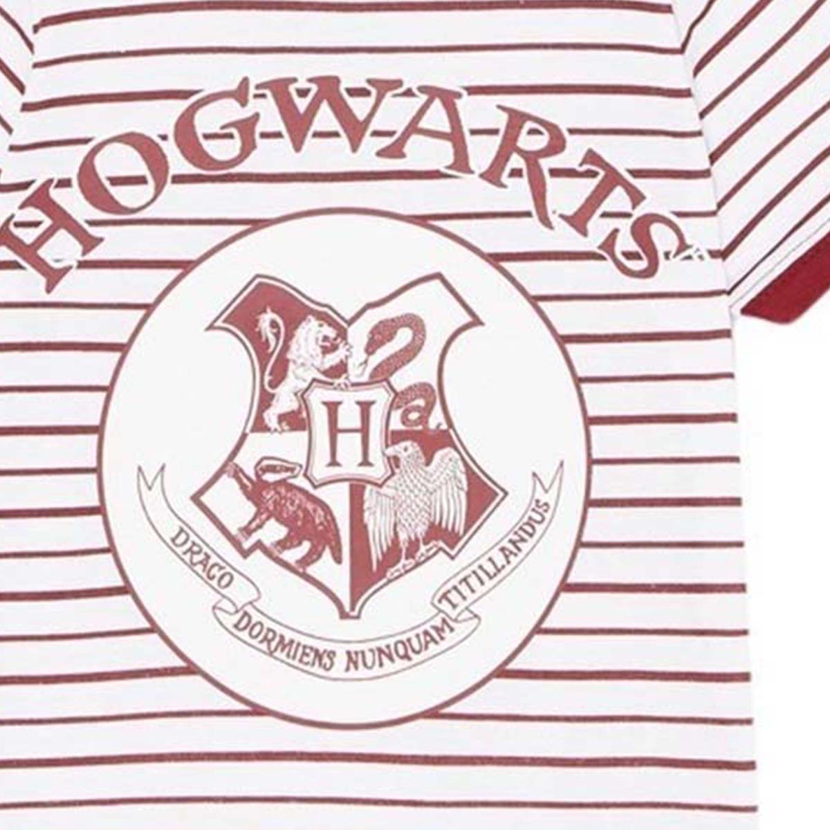 T-Shirt Harry Potter - 3A Garçon - Enfant - Bordeaux - 100% Coton, 160 GSM SJ - TrendyFlair