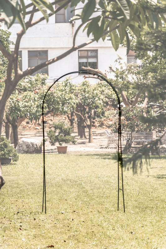 Support arceau pour plante - Suan - Accompagnement à la pousse | 137 x 38 x 243 cm | Noir | TRENDYFLAIR
