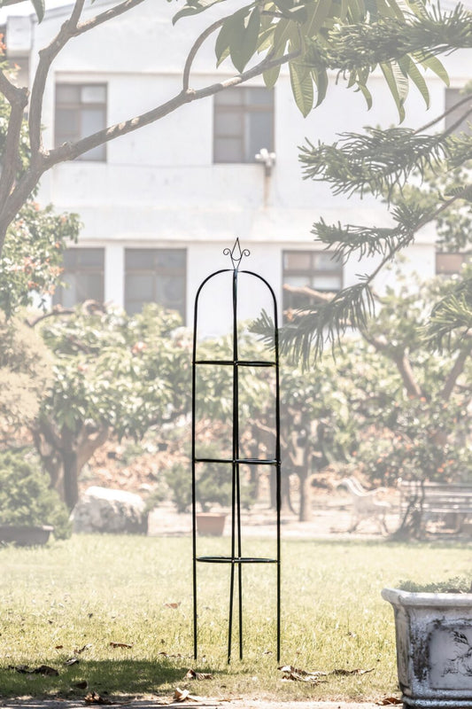 Support arceau pour plante - Suan - Accompagnement à la pousse | 39 x 190 cm | Vert | TRENDYFLAIR