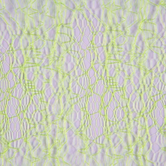 c6969384962571ada8e07055663c2314